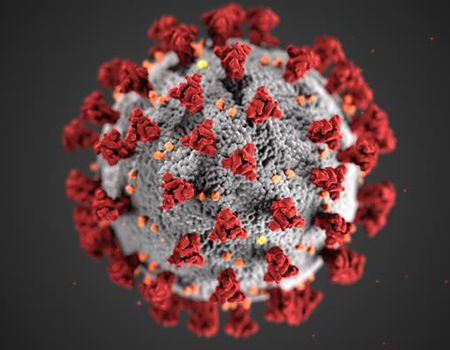 COVID-19 virus